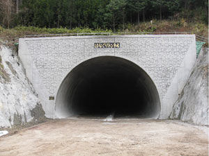 中津第一（はなぐり）トンネル